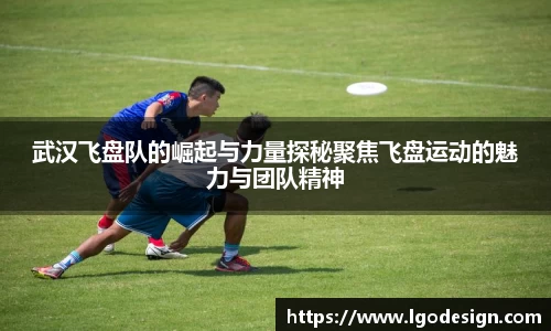 武汉飞盘队的崛起与力量探秘聚焦飞盘运动的魅力与团队精神