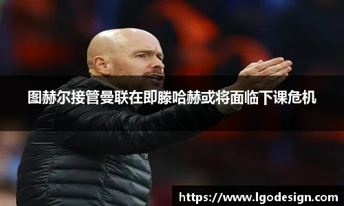 米乐YY易游